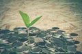 Plant growing out of coins Royalty Free Stock Photo