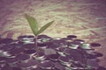 Plant growing out of coins Royalty Free Stock Photo