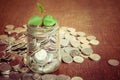 Plant growing out of coins Royalty Free Stock Photo