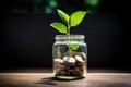 plant growing out of coins in glass jar with filter effect retro vintage style, A glass jar full of coins with a little plant Royalty Free Stock Photo