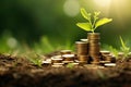 plant growing out of coins with green bokeh background, business growth concept, Stacked gold coins on the grass and little plants Royalty Free Stock Photo