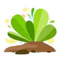A plant growing out of the ground with spots on the background in the style of flat. Fantasy plant elements on white background. Royalty Free Stock Photo
