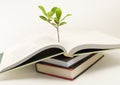 Plant growing out of open book