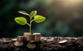 A plant growing out of a pile of coins, illustrating investment and organic growth in business finance