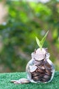 Plant growing from pile of coins. Savings and investment concept Royalty Free Stock Photo