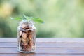 Plant Growing In Savings Coins - Investment And Interest Concept Royalty Free Stock Photo