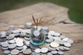 Plant growing in savings coins jar, Business growth, interest and investment concept Royalty Free Stock Photo