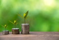 Plant Growing In Savings Coins. Money coin stack growing graph. Royalty Free Stock Photo