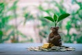 Plant Growing In Savings Coins - Money, Financial, Business Growth concept