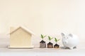 Plant Growing Savings Coins with piggy. Money coin stack growing graph for the Real Estate business. Royalty Free Stock Photo