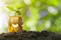 Plant Growing In Savings Coins On Soil With Green Bokeh Background, Business Finance and money concept Royalty Free Stock Photo