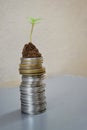 Plant Growing In Savings Coins on wooden and nature with sunray background - Investment Concept, india