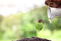 Plant growing on soil with hand watering  and green background, plant and save forest concept, World Environment Day Royalty Free Stock Photo