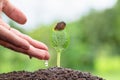 Plant growing on soil with hand watering  and green background, plant and save forest concept, World Environment Day Royalty Free Stock Photo