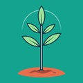 A plant growing from the soil, showcasing the process of natural growth, A linear design of a plant sprouting from a seed in a Royalty Free Stock Photo