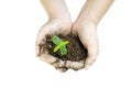 Plant growing with soil among woman hands