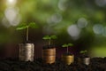 Plant growing step with coins stack on dirt and sunshine in nature.concept saving money Royalty Free Stock Photo