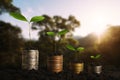 Plant growing step with coins stack on dirt and sunshine in nature morning light. concept saving money Royalty Free Stock Photo