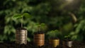 Plant growing step with coins stack on dirt and sunshine in nature morning light. concept saving money Royalty Free Stock Photo