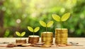 Plant growing step with coins stack on dirt and sunshine in nature morning light. concept saving money Royalty Free Stock Photo