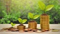 Plant growing step with coins stack on dirt and sunshine in nature morning light. concept saving money Royalty Free Stock Photo