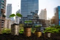 Plant growing step with coins stack on dirt and sunshine in nature morning light. concept saving money. and city Royalty Free Stock Photo