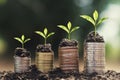 plant growing step on money stack. concept finance Royalty Free Stock Photo