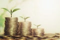 plant growing step of money stack Royalty Free Stock Photo