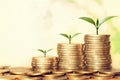 plant growing step of money stack with sunshine. concept finance Royalty Free Stock Photo