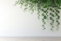 A plant growing vertically against a wall, showcasing its determination to thrive in a challenging environment, A blank wall with Royalty Free Stock Photo