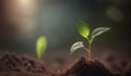 Plant grows macro, green farming and plant growth is set against with blurry backdrop, sprouting from seed and developing into a Royalty Free Stock Photo