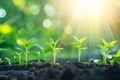 Plant growth against a soft, blurred green background