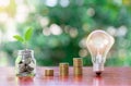 Plant growth on coin in jar and light bulb on wooden desk on out of green tree background Royalty Free Stock Photo