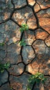Plant Growth on Cracked Desert Soil. Generative AI