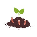 Plant growth from soil with worms, vector illustration Royalty Free Stock Photo