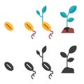 Plant Growth Stages from Seed to Sprout