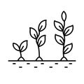 Plant growth stages, from sprout to flower, isolated line icon