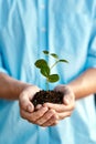 Plant, growth and sustainability with hands holding a budding flower in soil closeup for conservation. Earth, spring or Royalty Free Stock Photo