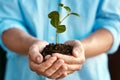 Plant, growth and sustainability with the hands of a person holding a budding flower in soil closeup for conservation Royalty Free Stock Photo