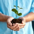 Plant, growth and sustainability with a person holding a budding flower in soil closeup for conservation. Earth, spring Royalty Free Stock Photo