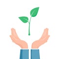 Plant growth between two hands. Eco symbol. Cupped hand that holds green plant seedling. Vector illustration