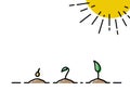 plant growth. Vector illustrations with phases plant growth. Outline