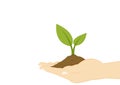 Plant in hand vector on white background.