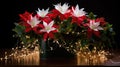 plant holiday cactus