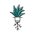 plant hydroponics water irrigation color icon vector illustration