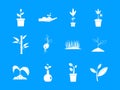 Plant icon blue set Royalty Free Stock Photo