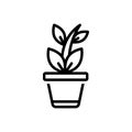 Black line icon for Plant, foliage and tree Royalty Free Stock Photo