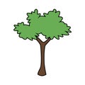 Plant icon image