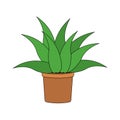 Plant icon image