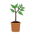 Plant icon image